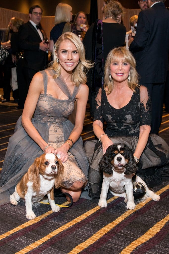 Citizens for Animal Protection Gala at the Royal Sonesta