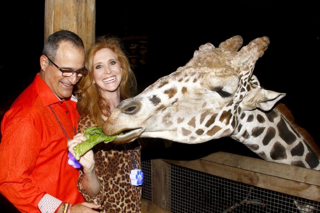 The Dallas Zoo After Dark — When More Than the Animals are Wild: Drinking Cocktails With Gorillas and Breakfasting with Penguins is Just the Start