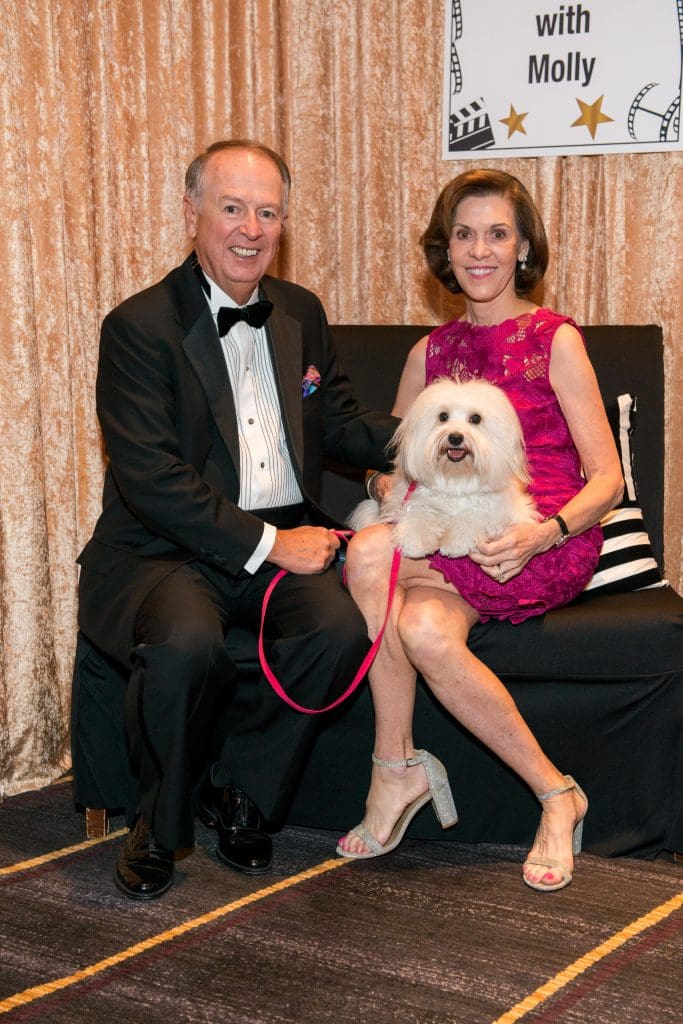 Citizens for Animal Protection Gala at the Royal Sonesta