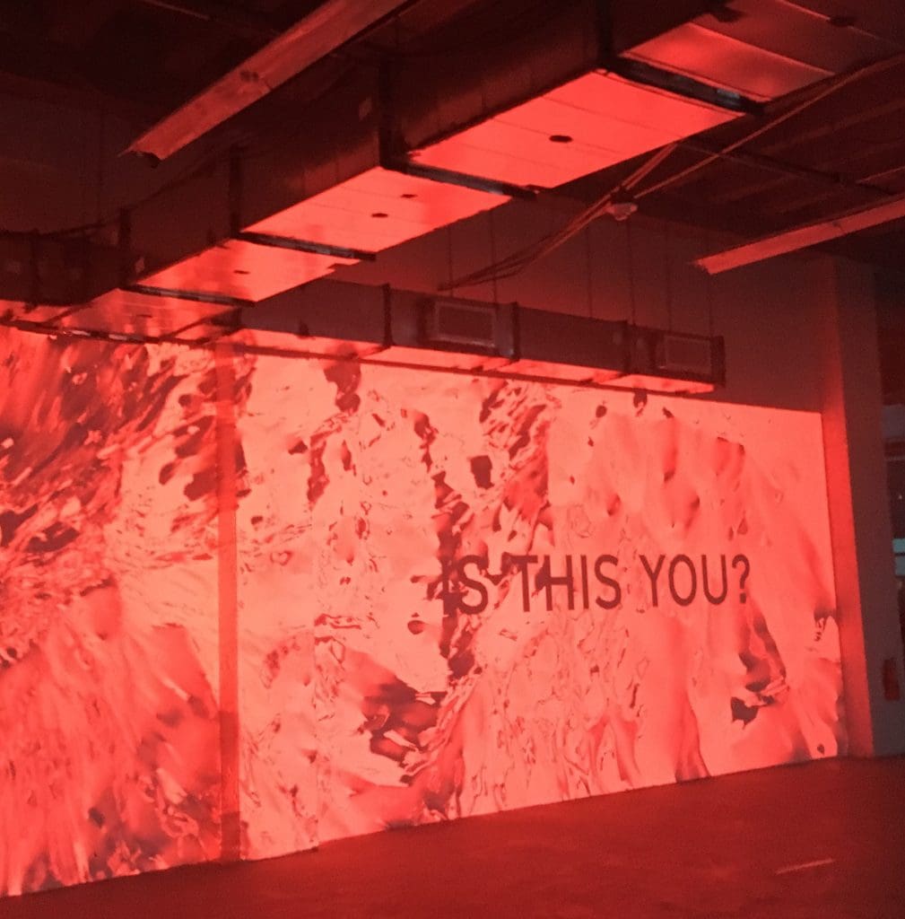 Projectors cast changing works of art on one of the walls. 