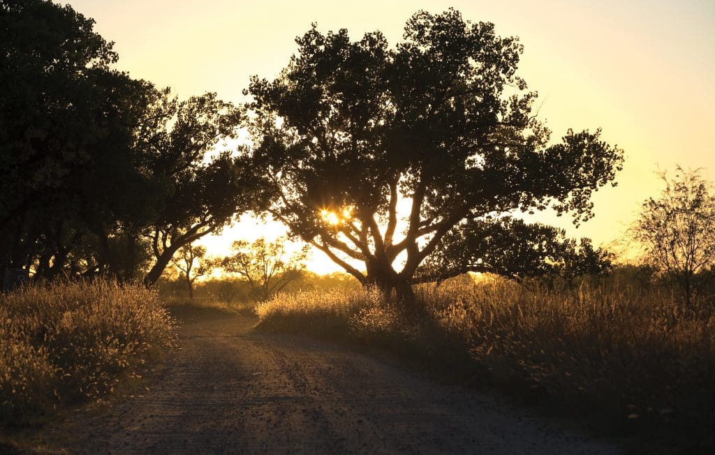 T. Boone Pickens' dream ranch covers 10 square miles in the Texas Panhandle.