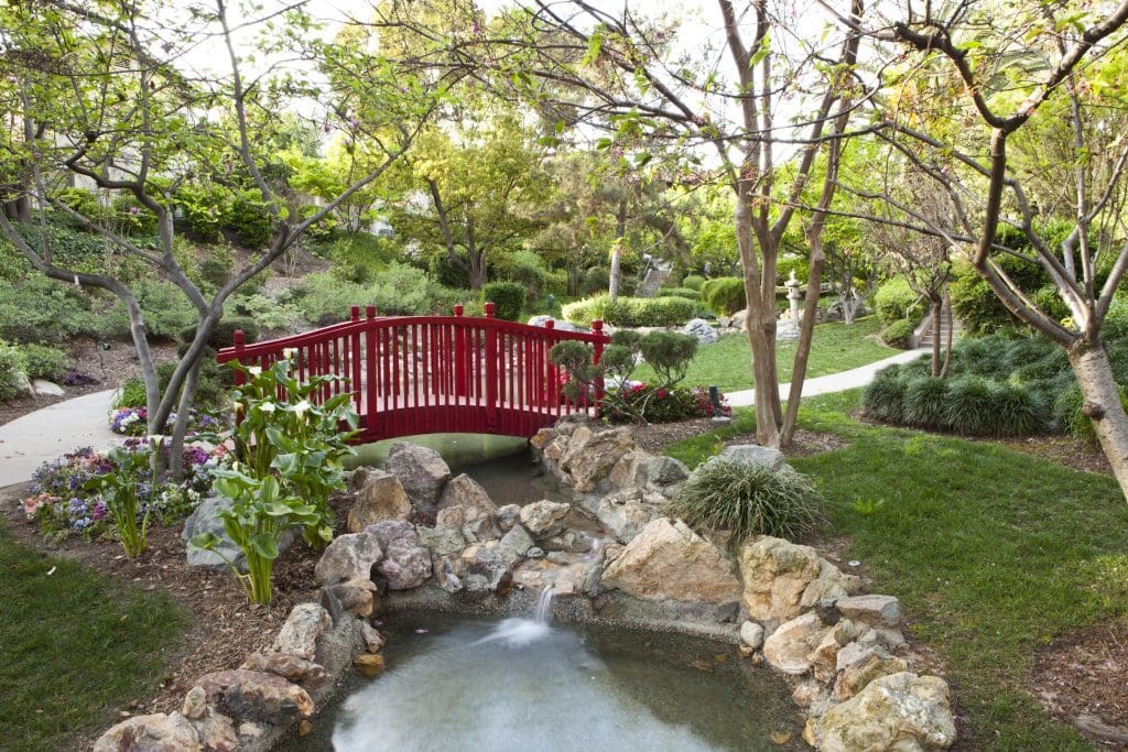 Japanese Garden