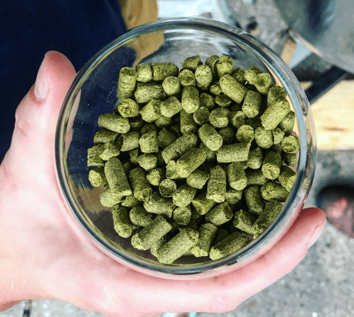 This northeast IPA includes the hops city, galaxy, amarillo, and mosaic. 