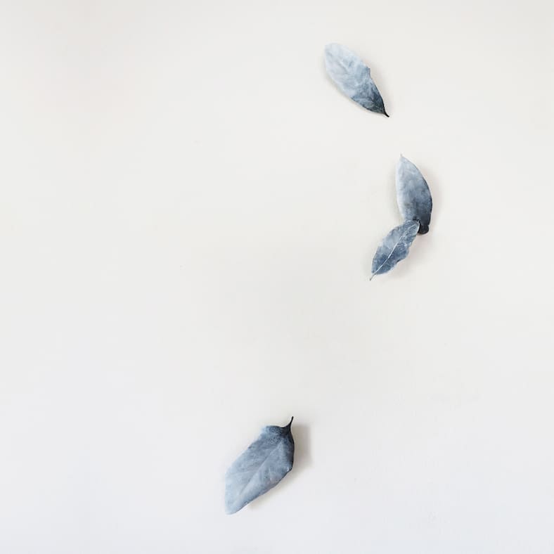 Page Kempner's "Short Fall," 2018 (Courtesy the artist and Moody Gallery)