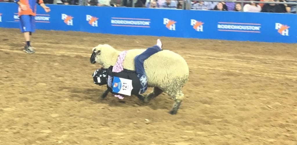 This technique requires a lot of gumption. 