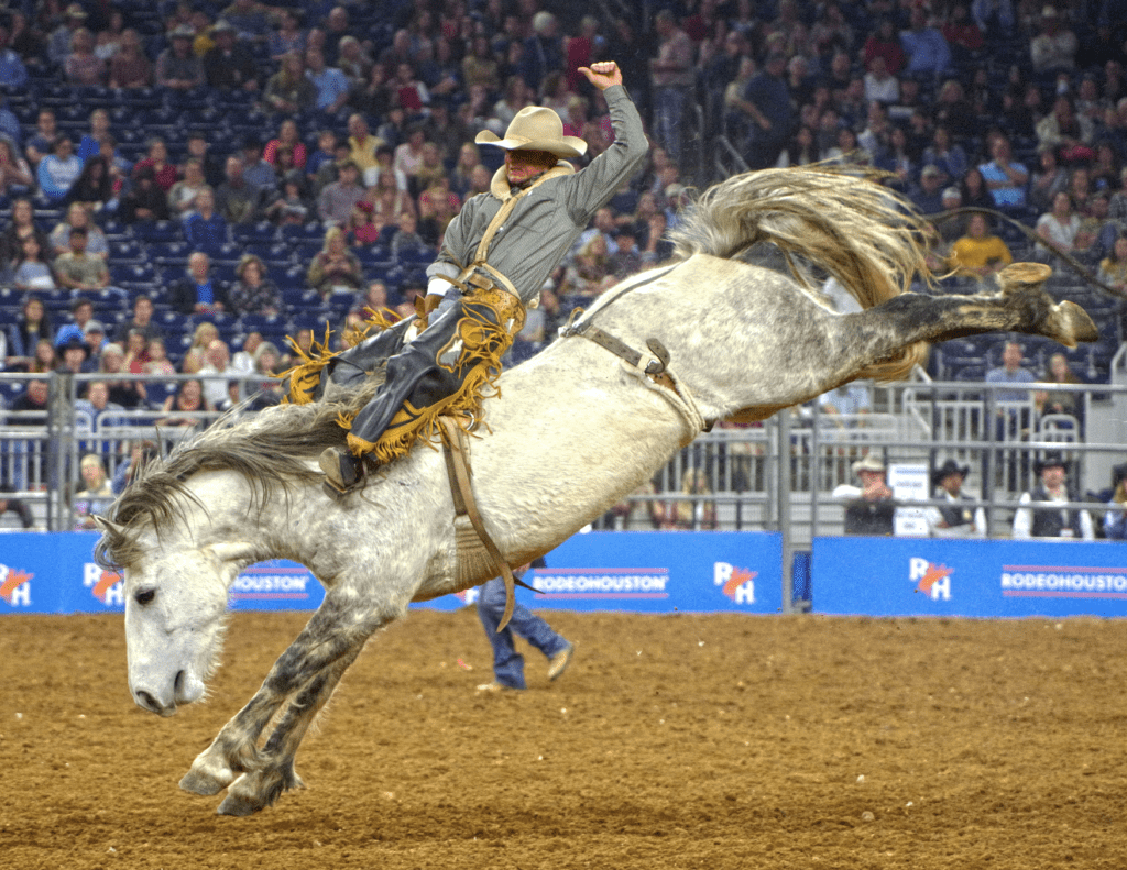 Houston Livestock Show and Rodeo has cancelled the 2021 competitions, the rodeo parade, the barbecue cook-off and more due to COVID-19 concerns. (Photo by Houston Livestock Show & Rodeo.)