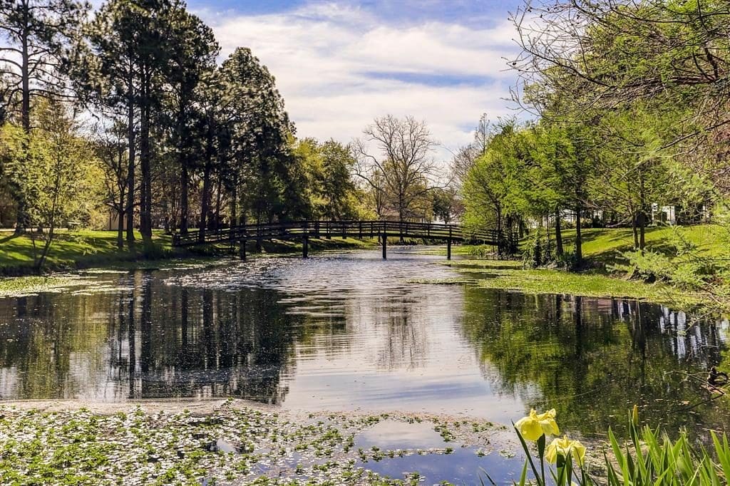 You can't beat a country view like this. 