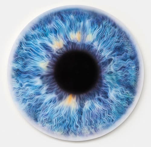 Marc Quinn, piece from "Iris Paintings" collection, sold for $600,000 