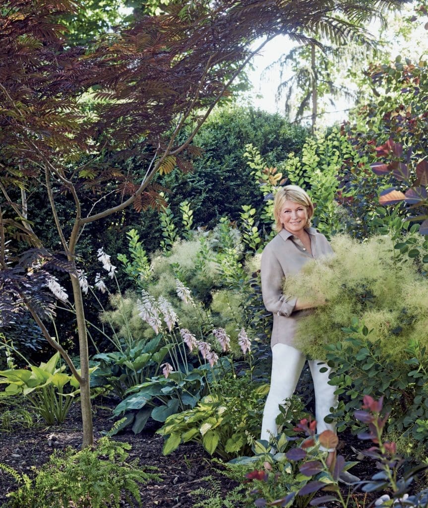 Martha Stewart On Gardening, Tricky Flowers and Summer Weddings: The Lifestyle Queen Opens Up Before Her Dallas Visit