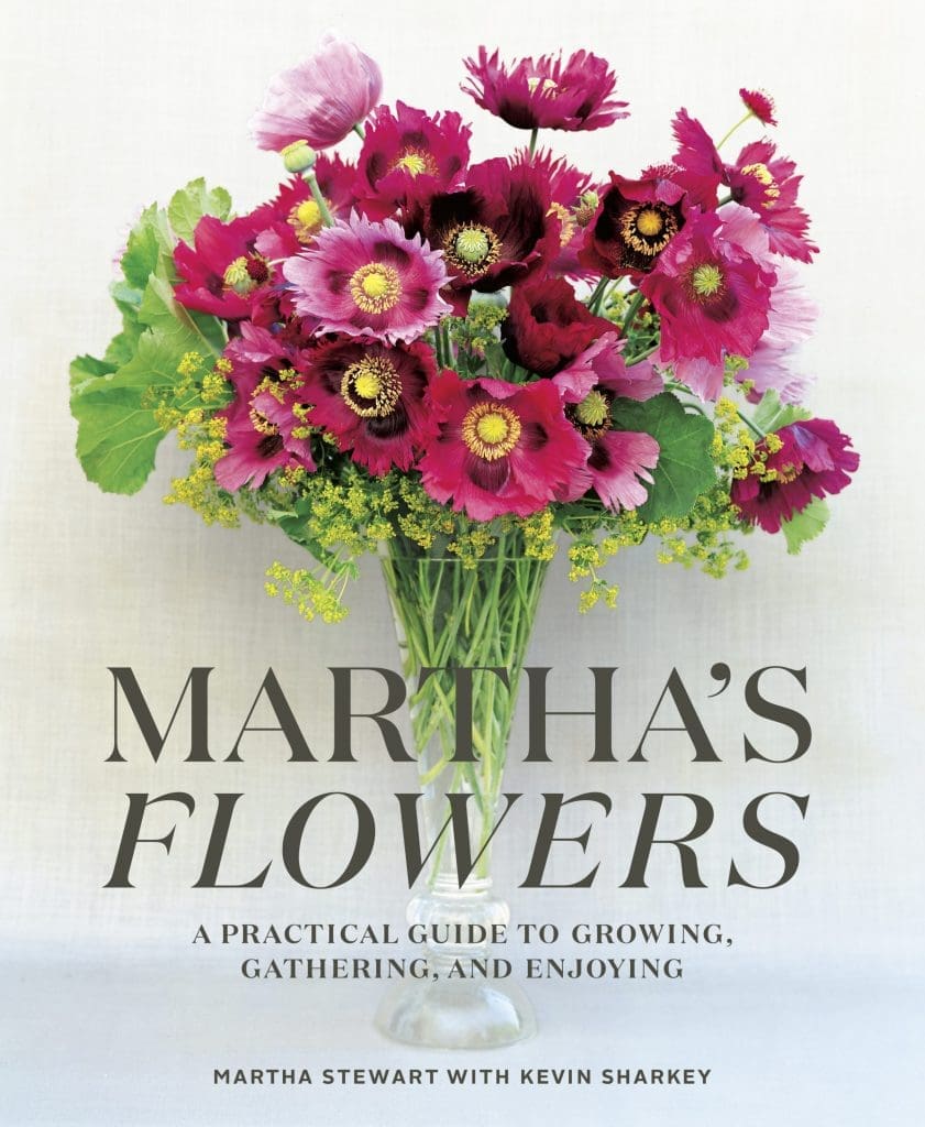 Martha Stewart's new book