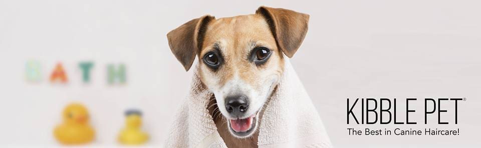 New Dallas Pet Salon Takes Pampering To a New Level With Blowouts and Full Pedicures: Dogs Are Loving the Luxe Life