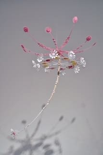 The Cotton Candy tree at Talley Dunn Gallery is part of Kana Harada's arresting installation.