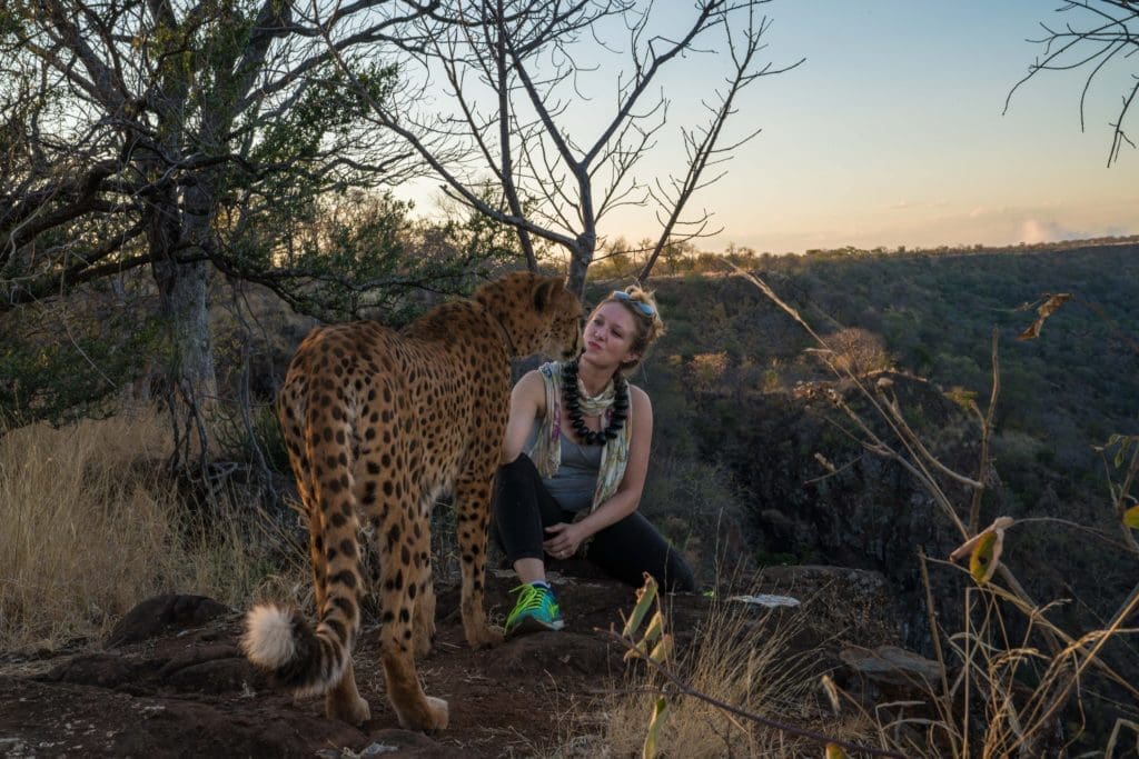 Meghan Bartos on the Zambezi River with Sylvester, the guard cheetah