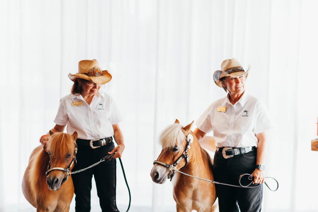Cisco and Dare are specially trained therapy ponies. 