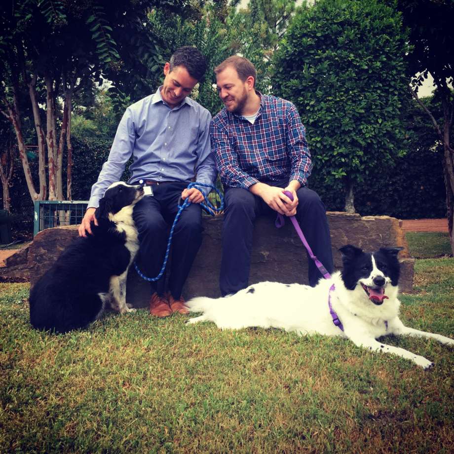 Heartbreaking Abandoned Dog Video Gets a Happy Ending Thanks to a Houston Couple: Rejected Border Collie No Longer Needs to Make the Saddest Face Ever