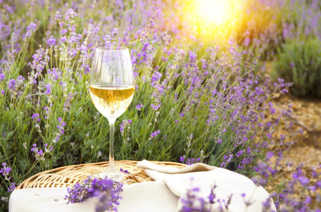 Drinking the Wines of Provence: The Best of France’s Foodie Paradise Brought Home