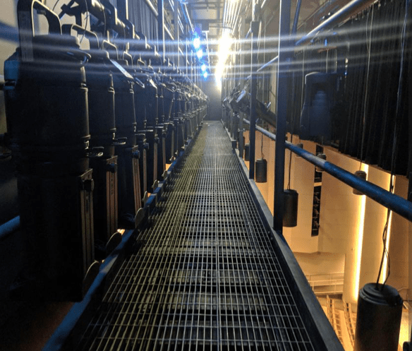 Kinder HSPVA Catwalk