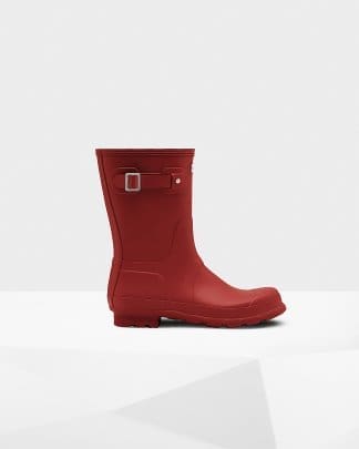 Available on Hunter website