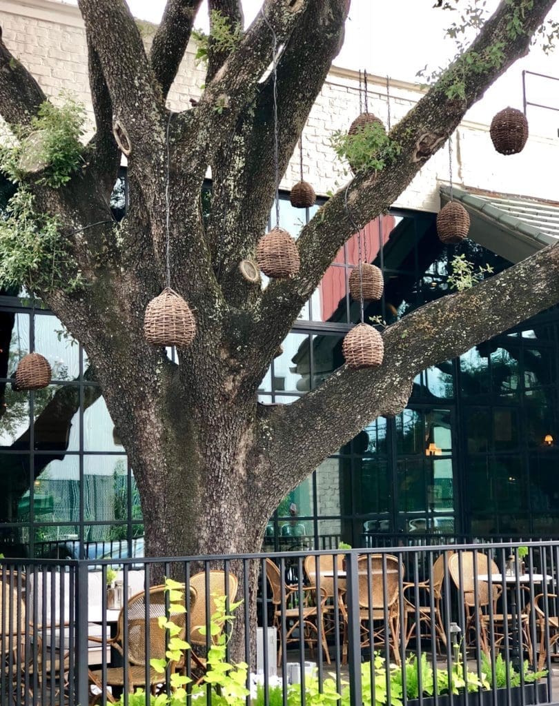 Emmaline's  with its majestic oak trees was a romantic retreat, soon to become Muse. (Photo by Lisa Gochman.)