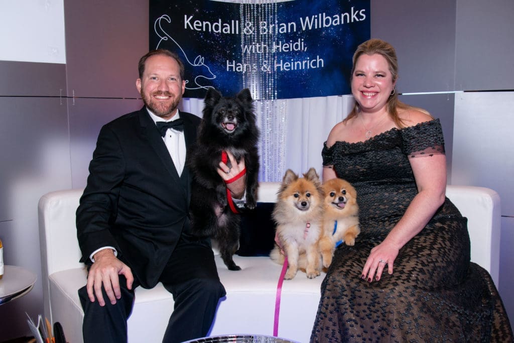 Citizens for Animal Protection Gala at the Royal Sonesta hotel on Saturday, November 17, 2018.