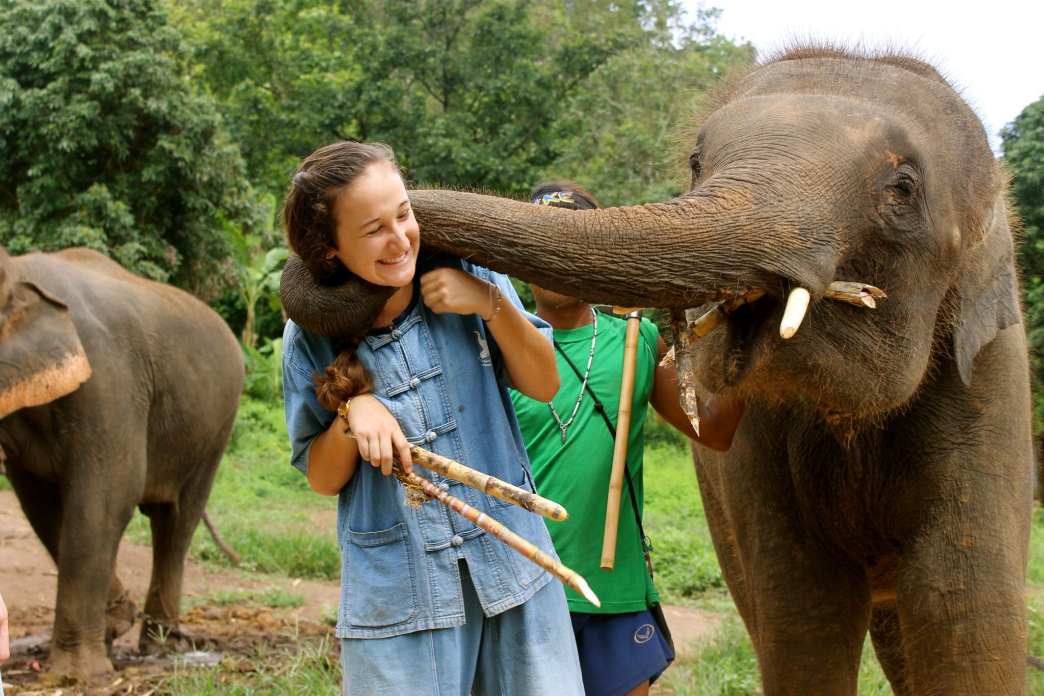 experiment in international living thailand