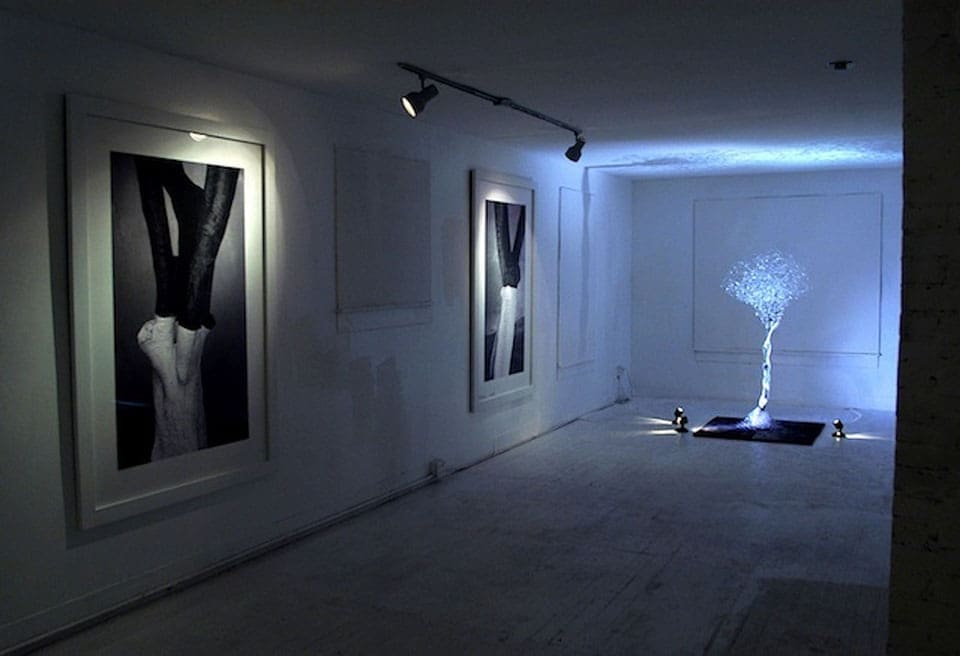 Susan Plum's "Intersection," 2007, featuring a Mayan Tree of Life rendered in glass, typifies the universal nature of the best of PRH's installations.