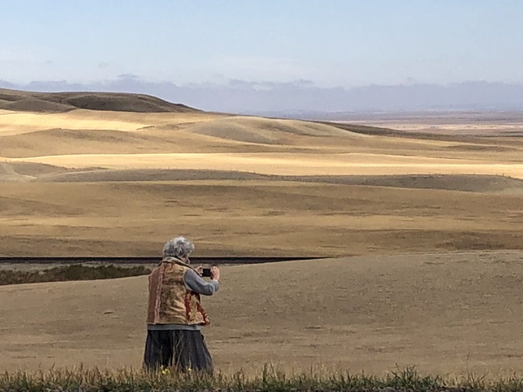 The author photographing endless golden fields on Montana's Hi-Line.