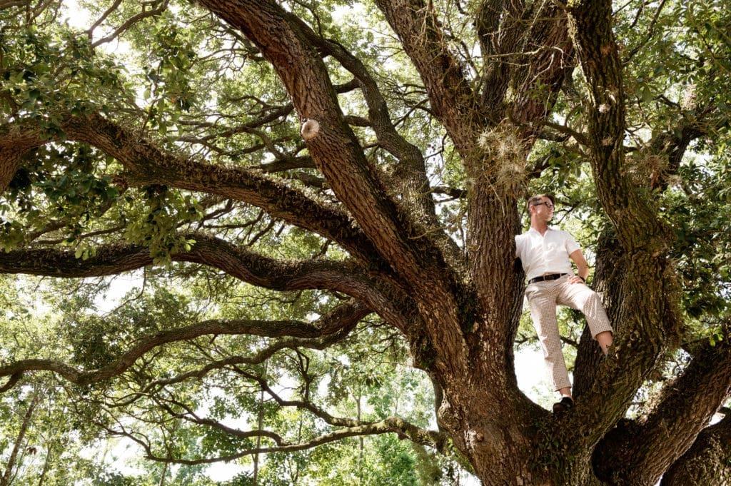 Thomas Woltz surveys the scene from a grand post oak, one of Memorial Park's signature species. (Photo Jack Thompson)