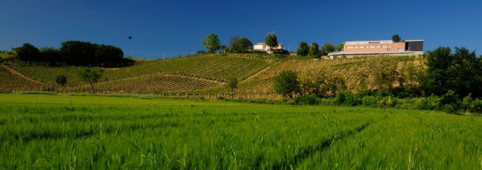 Rediscovering a Lost Grape — and Other Italian Wine Finds: Three Bottles Under $22 Prove Worthy