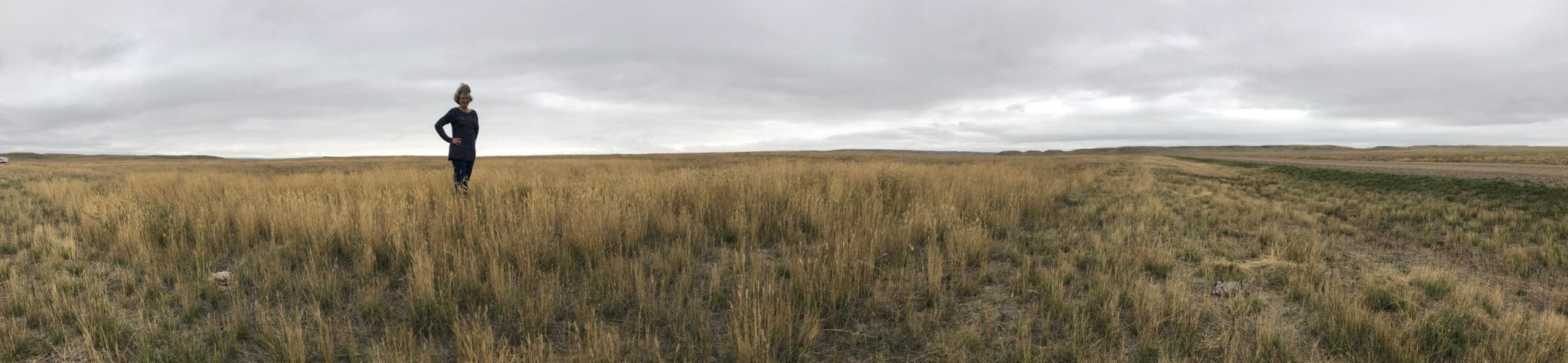 The author's sister Kate Maher stands amidst the native grasslands.