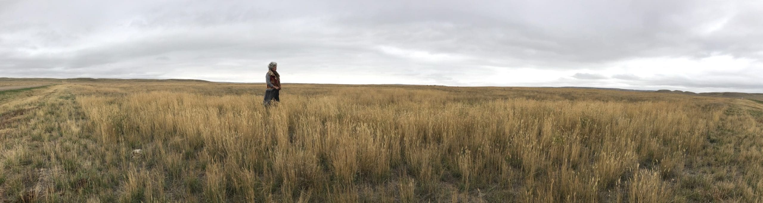 The author contemplates an endless expanse of native prairie grasslands.