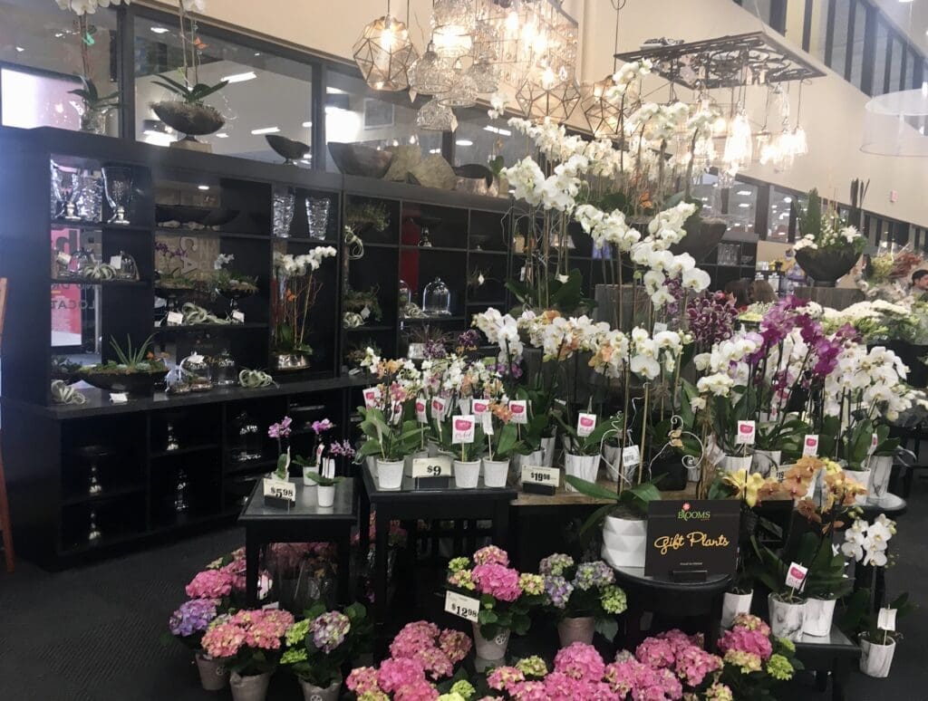 H-E-B Blooms! features delivery options. 
