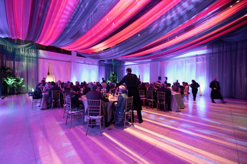 Dinner at the Houston Museum of Natural Science Siren of Serendip reveal