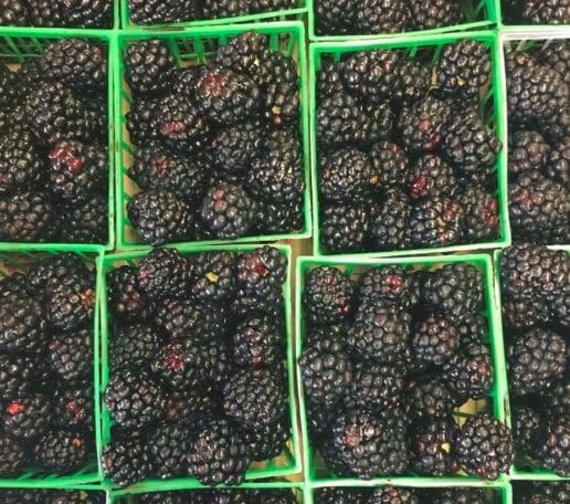 Mike Atkinson doesn't sell any produce he wouldn't eat himself. 