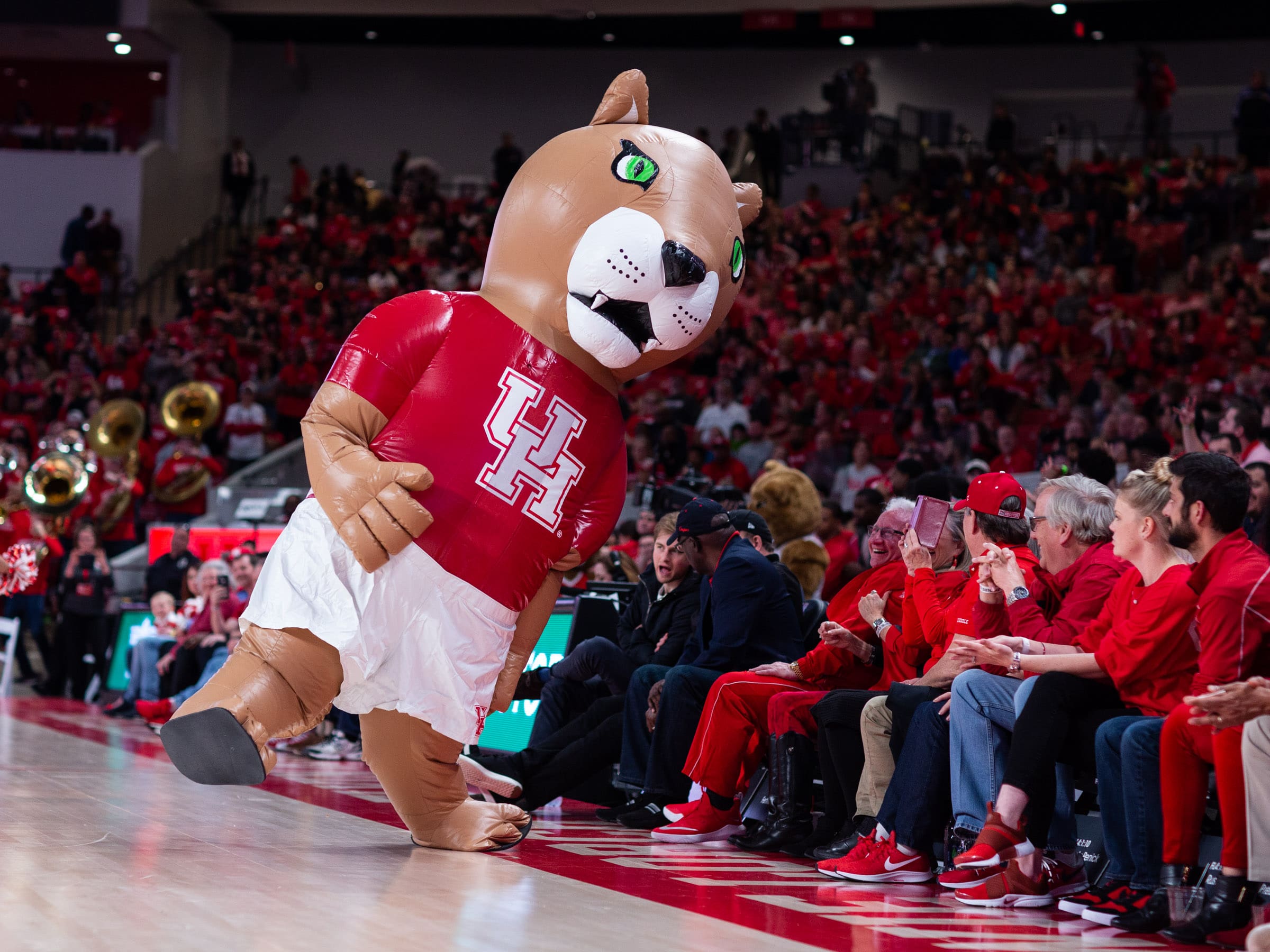 There is plenty of excitement about University of Houston basketball at the moment.