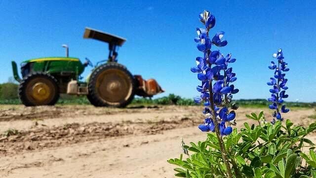 You'll find Atkinson Farms' fresh produce at UB Preserv, One Fifth, Coltivare, Indianola and more. 