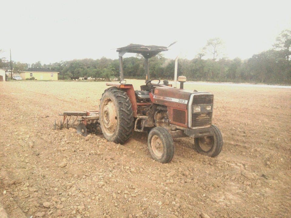 Atkinson Farms grows and harvests about 100 acres of vegetables. 