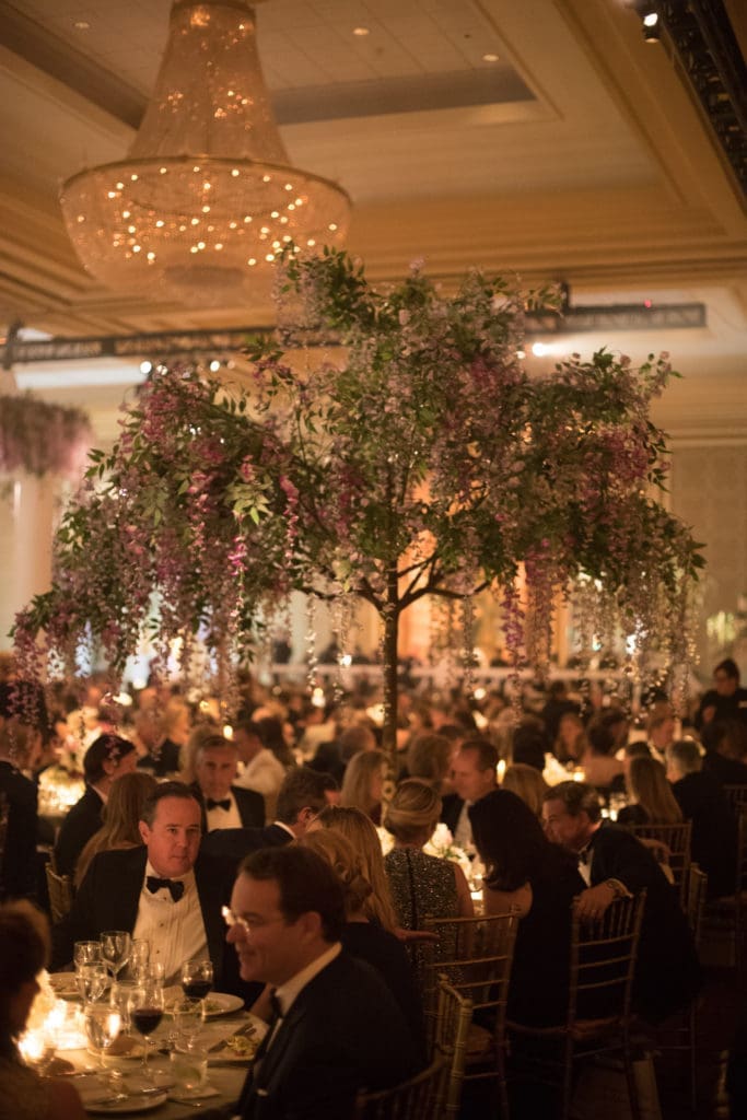 Ballroom (Photo by Dana Driensky, Daniel Driensky)