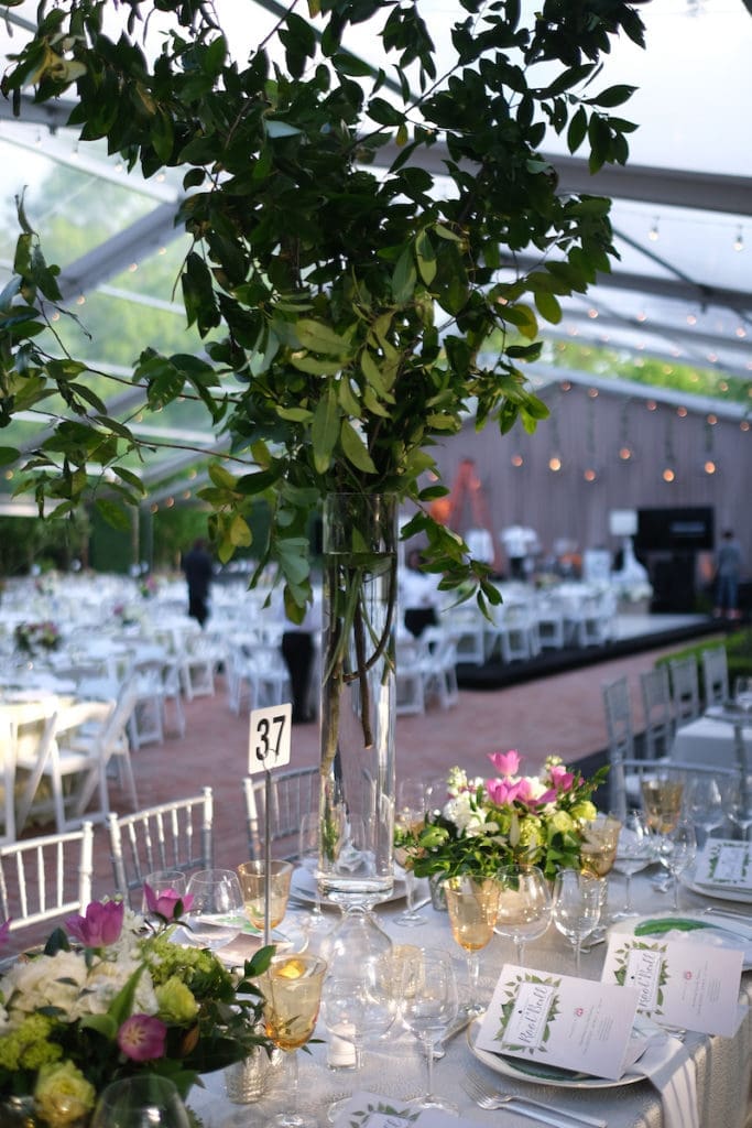 The money tree at the Trees for Houston Root Ball.  (Photo by Daniel Ortiz)