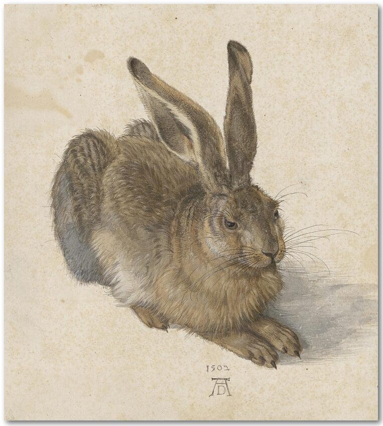 Albrecht Dürer's "Wild Hare," 1502, is one of the top treasures in the collection of Vienna's renowned Albertina Museum