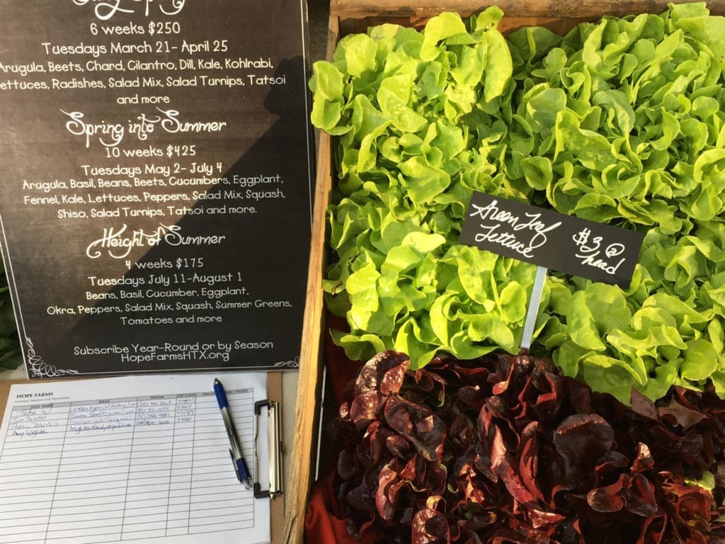Find fresh, organic fruits and vegetables from Hope Farms at Taste of the District.