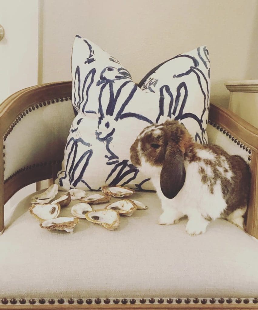 A Hunt Slonem-upholstered pillow and Houston-based Wrigley the Rabbit (owned by PaperCity's Farrell Lawo) star in this vignette. (Courtesy Hops & Bun Co.) 