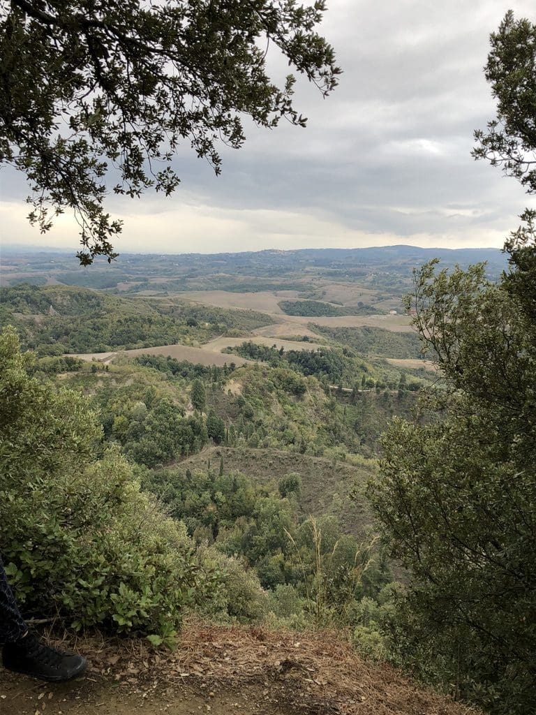 The art of nature: the view from Toiano Vecchio was a bonus of this residency. (Photo by Bradley Kerl)