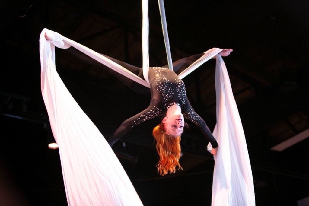Vodka Eiffel Tower and Daring Aerialist Takes This Houston Gala to New Heights