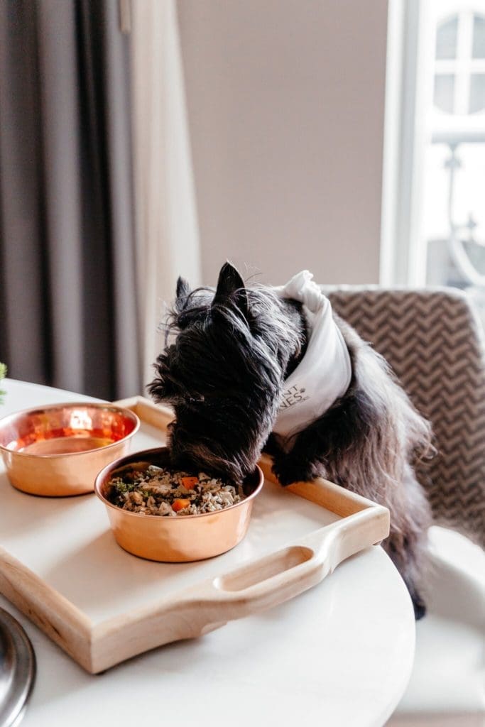 Mighty Mutt diced chicken with veggies and rice is on the menu.  (Photo by Vanessa Christina Photography)