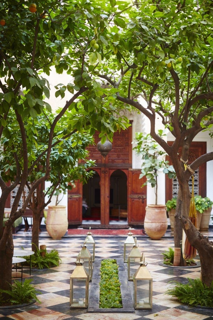The luxuriant greenery of Marrakech delivers a verdant patina to the El Fenn. (Photo by David Loftus)