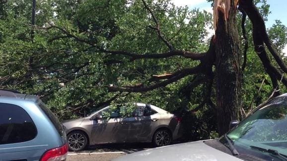 Damage in Casa Linda. Courtesy of NBC News