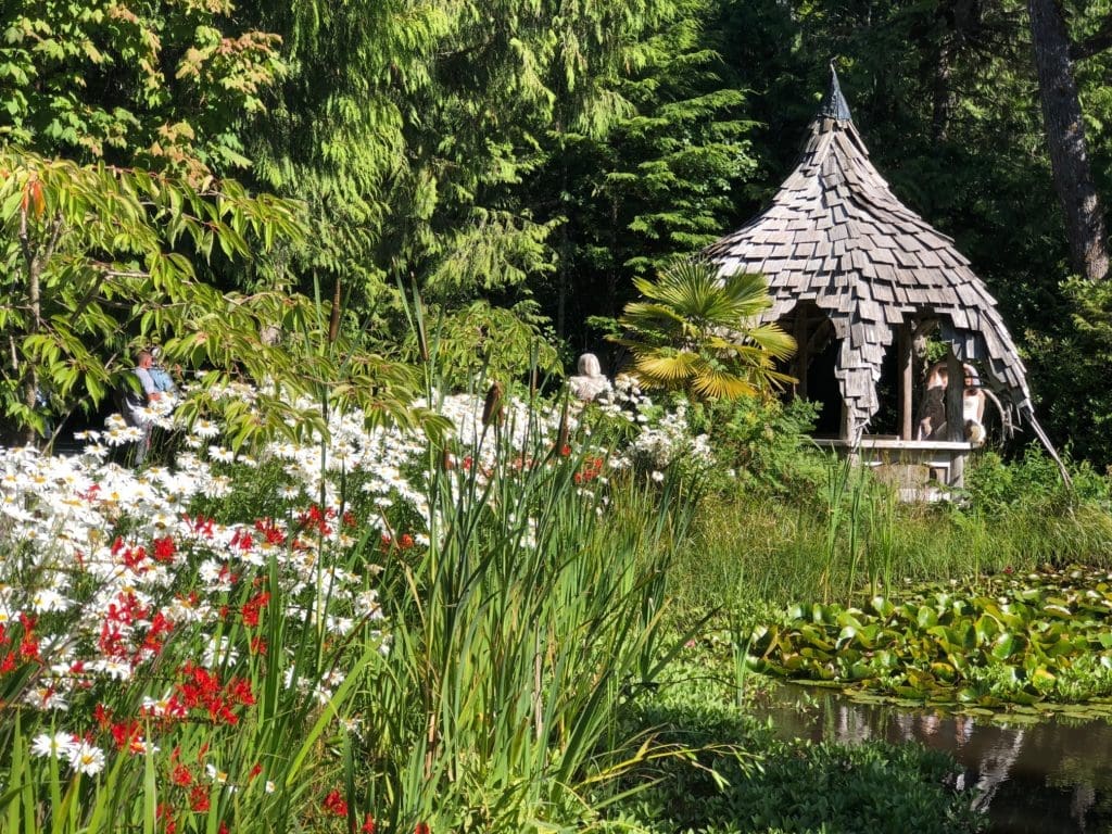 Tofino Botanical Garden (Photo by Shelby Hodge)