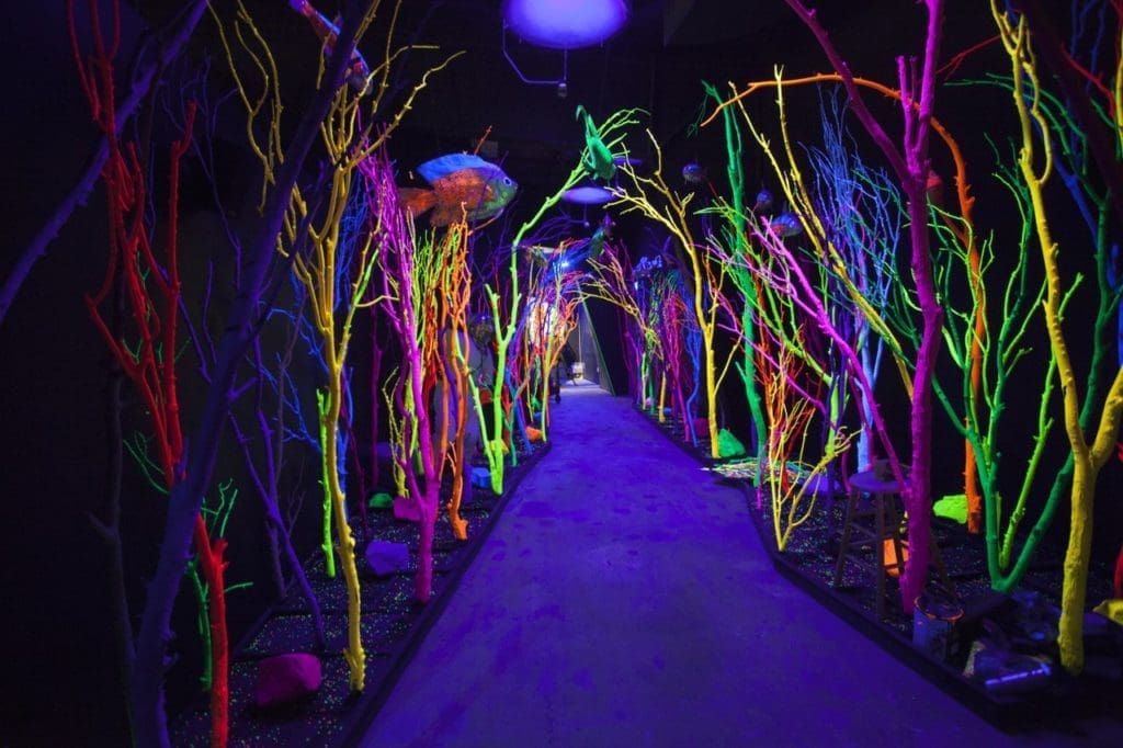 Meow Wolf 161-medium