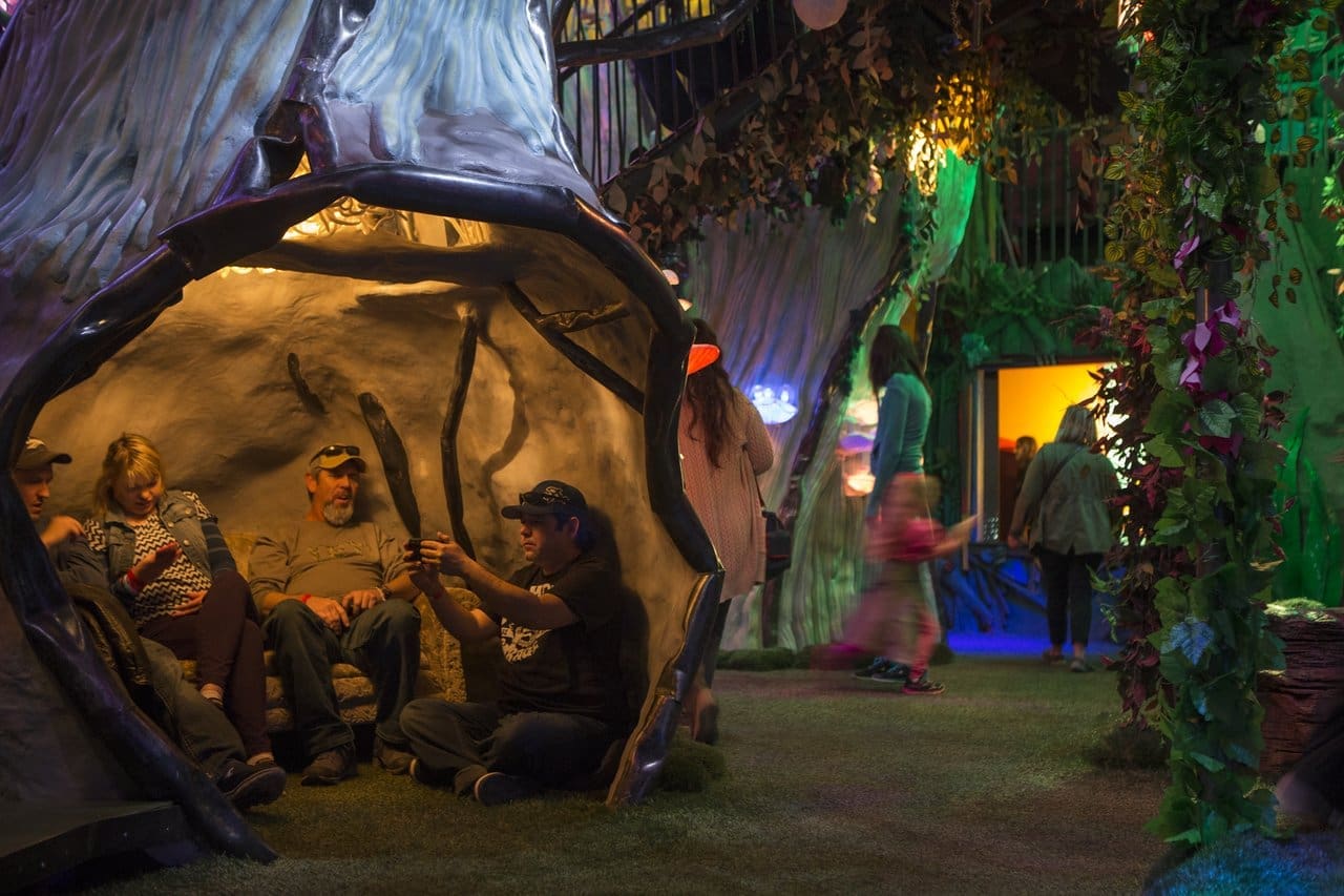 Meow Wolf 173-medium